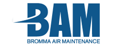 bam logo